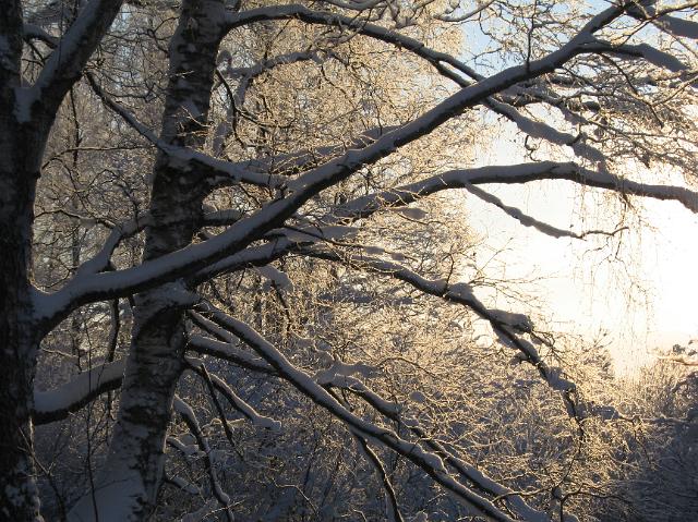 2010_talvikuvia 009.jpg